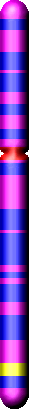 Chromozom X hemofilie B
