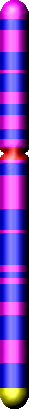 Chromozom X hemofilie A
