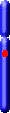 Chromozom 17