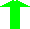 Zdravý homozygot