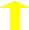 Zdravý heterozygot
